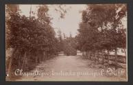 Entrada principal, Chapultepec, México