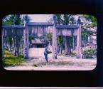 [Untitled]