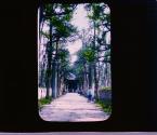 [Untitled]