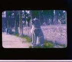 [Untitled]