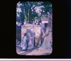 [Untitled]