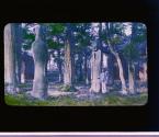[Untitled]