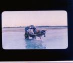 [Chapin in horse drawn cart crossing river]