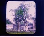 [Untitled]