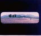 [Untitled]