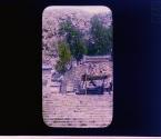 [Untitled]
