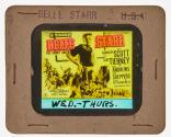 Belle Starr