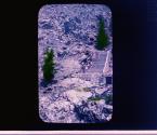 [Untitled]