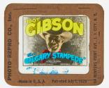 The Calgary Stampede
