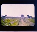 [Untitled]