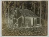 Shanty in the woods at Matthews Duckling Pond on Middle River, 1884
