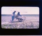 [Untitled]