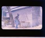 [Untitled]