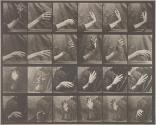 Movement of the hand; beating time