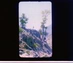 [Untitled]