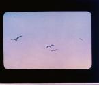 [Untitled]