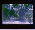 [Untitled]