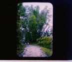 [Untitled]