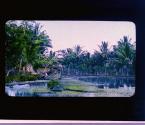 [Untitled]