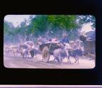 A Bullock Train in Lucknow (Where Scottish pipes, playing "The Campbells Are Coming" ushered in the Relief of Lucknow, creaking wagons with wooden wheels and crude axels now chant the song of the peaceful trade and plenty.)