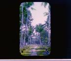 [Untitled]