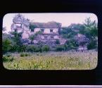 [Untitled]