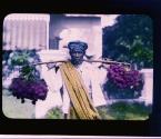 [carrying grapes?]