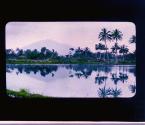 [Untitled]