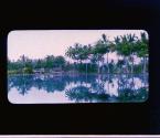 [Untitled]