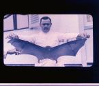 [Man holding fruit bat]
