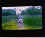 [Untitled]