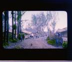 [Untitled]