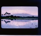 [Untitled]