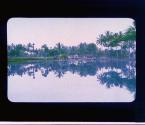 [Untitled]