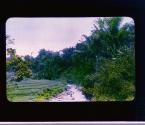 [Untitled]