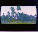 [Untitled]
