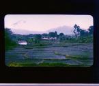 [Untitled]
