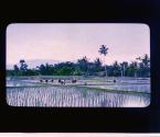 [Untitled]