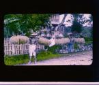 [Untitled]