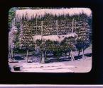 [Untitled]