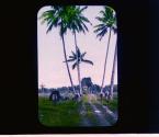 [Untitled]