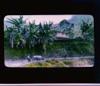 [Untitled]