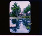 [Untitled]