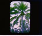 [Untitled]