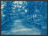 [Path through wooded area lined with benches]