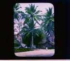 [Untitled]