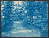 [Path through wooded area lined with benches]
