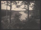 [River through trees]