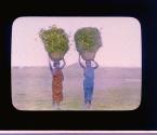 [Untitled]