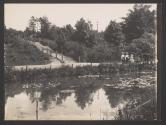 [Stairs leading down to pond]